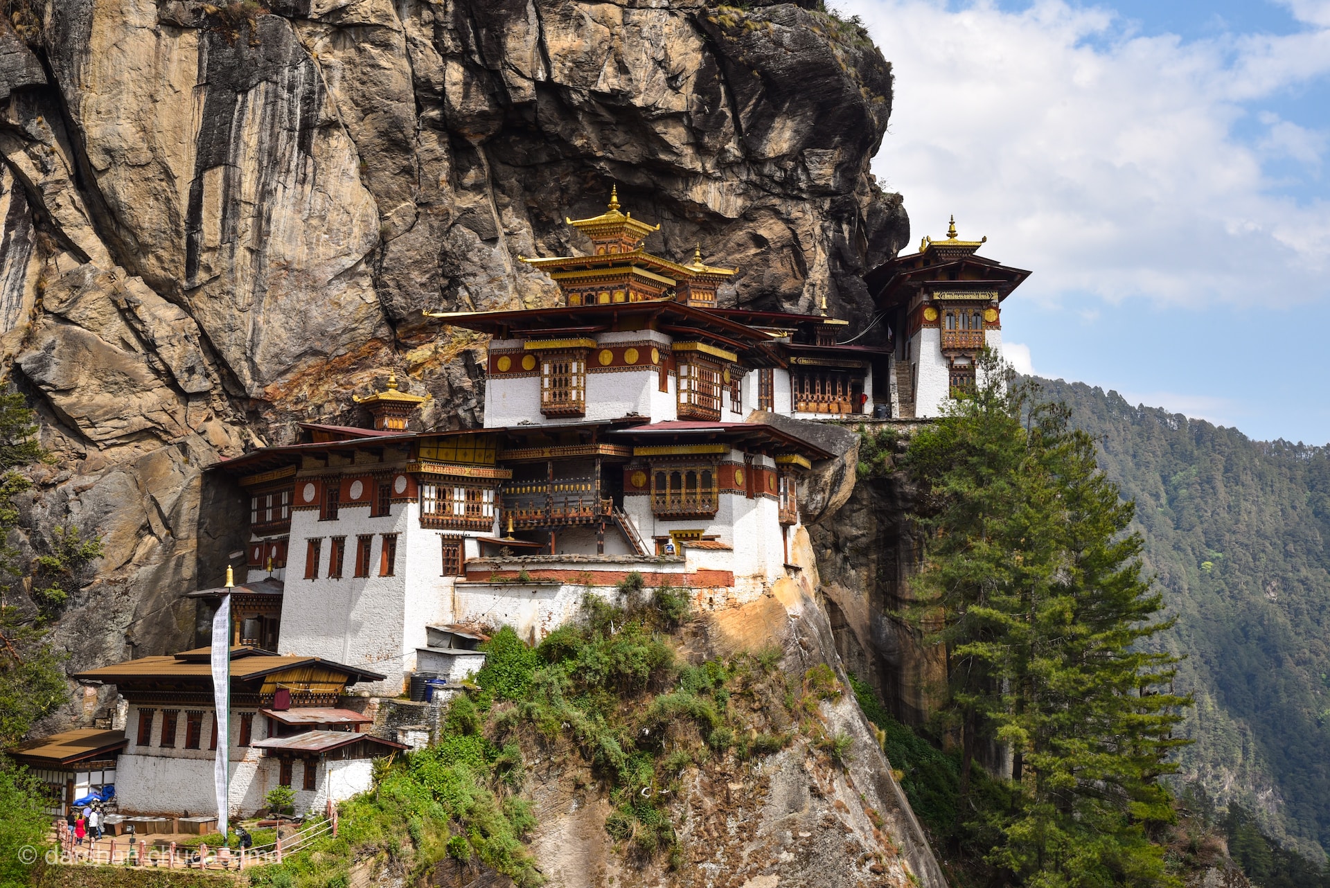 bhutan aasia reis