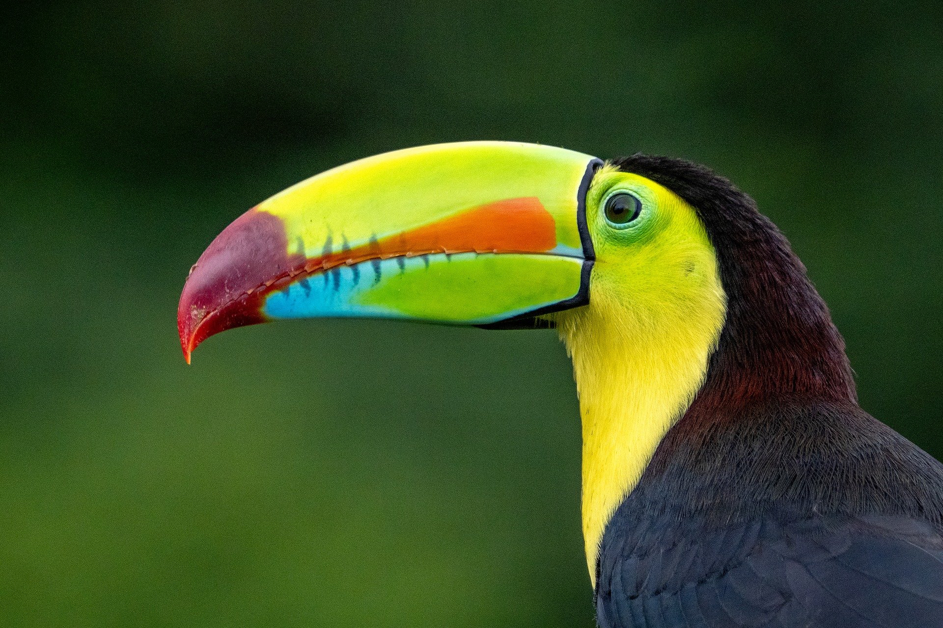 Costa Rica, Bicaragua, Guatemala, Kesk-Ameerika