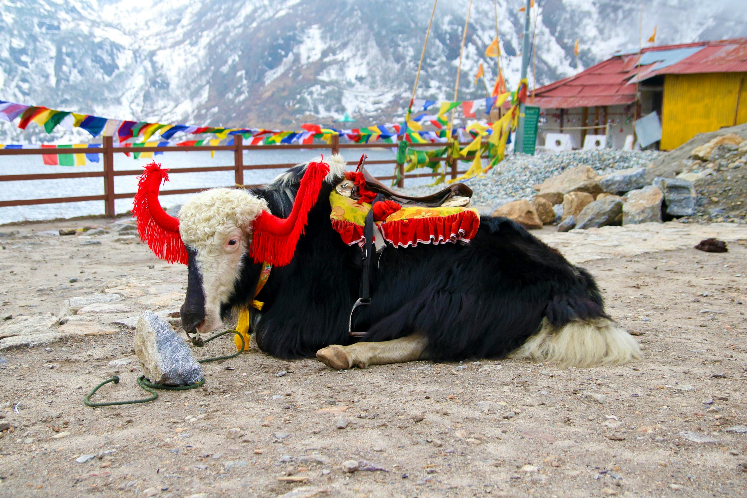 Sikkim